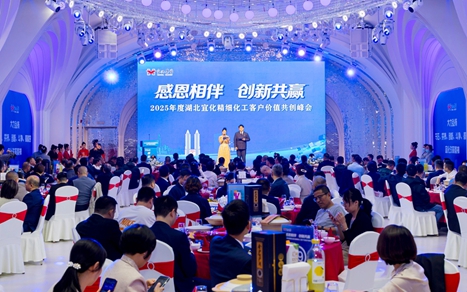 感恩相伴創(chuàng)新共贏！湖北宜化舉辦精細(xì)化工客戶(hù)價(jià)值共創(chuàng)峰會(huì)